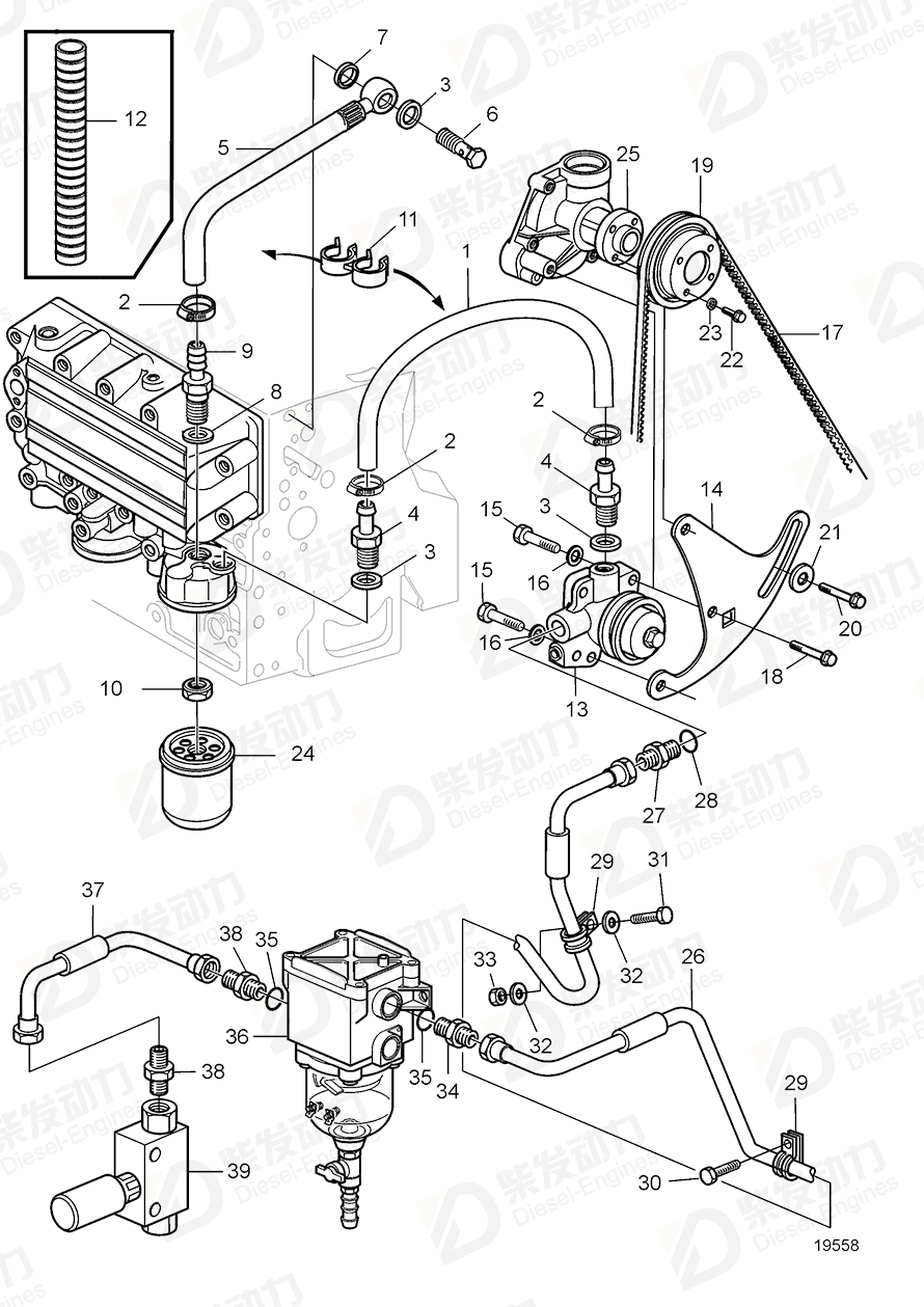 volvo penta Hollow screw 20405562 Drawing volvo penta Hollow screw 20405562 Drawing